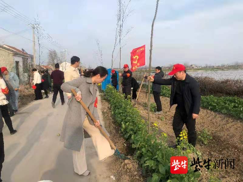 阜宁县三灶镇组织机关干部开展义务植树活动