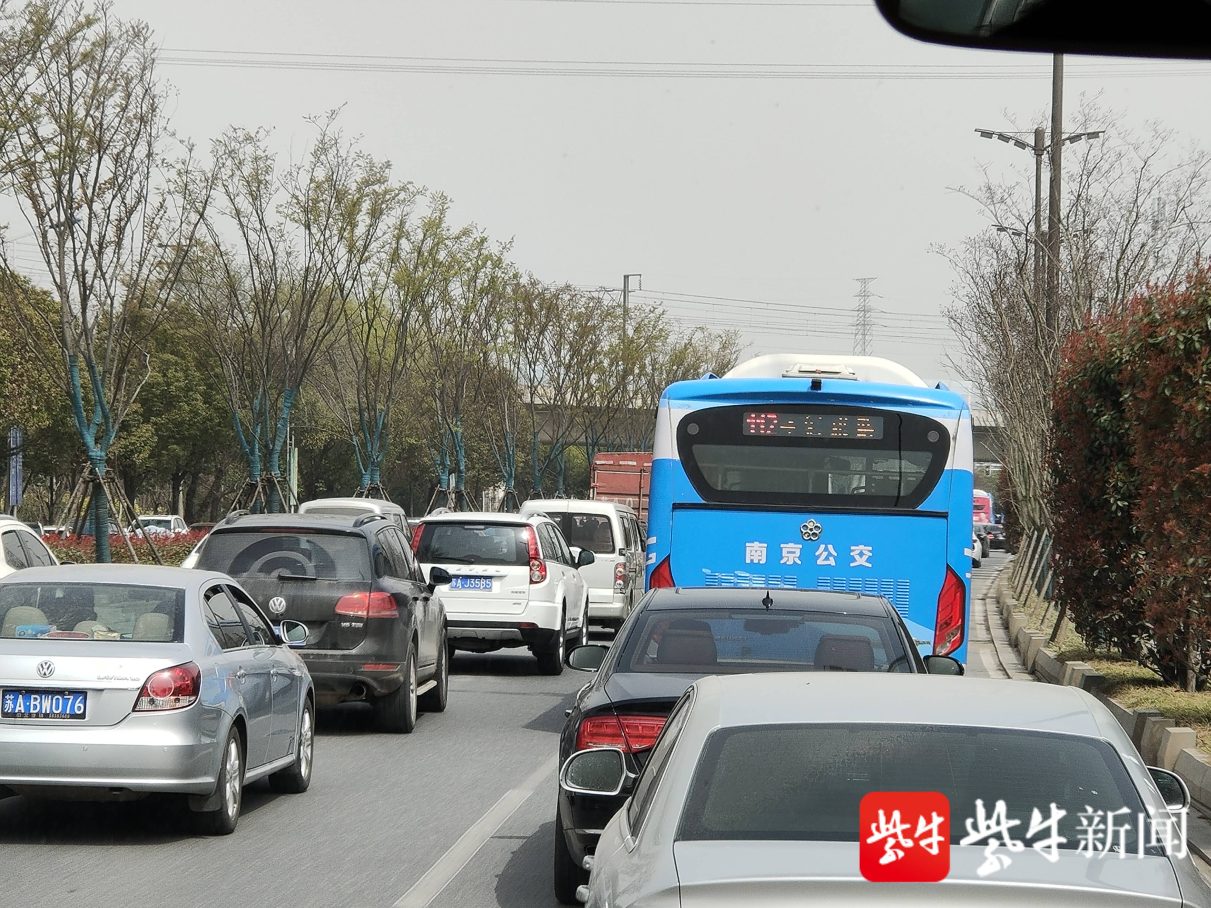 双休日南京58.3万人清明祭扫,市殡管部门提醒:记得错峰哦!