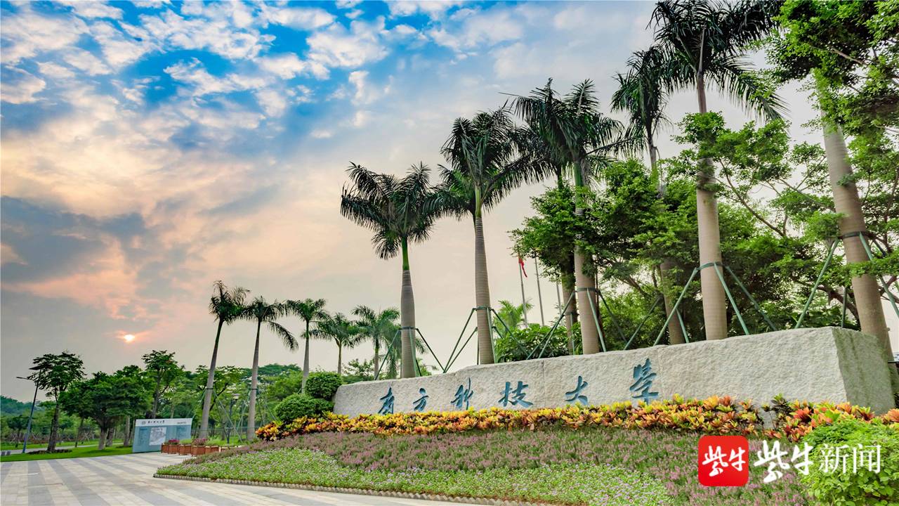 南方科技大學21年在蘇招生計劃增加 擬招收41名選考物理的考生 乐动平台 乐动体育ai 乐动体育logo