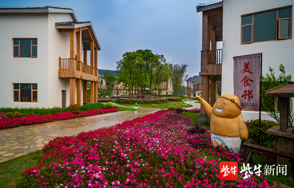了不起的乡村(15|牛马塘村:小小的地瓜可以多"贵?