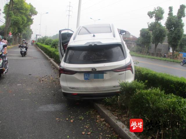 视频| 清晨女司机疲劳驾驶撞断电线杆,周围3公里路灯全不亮,人没事但