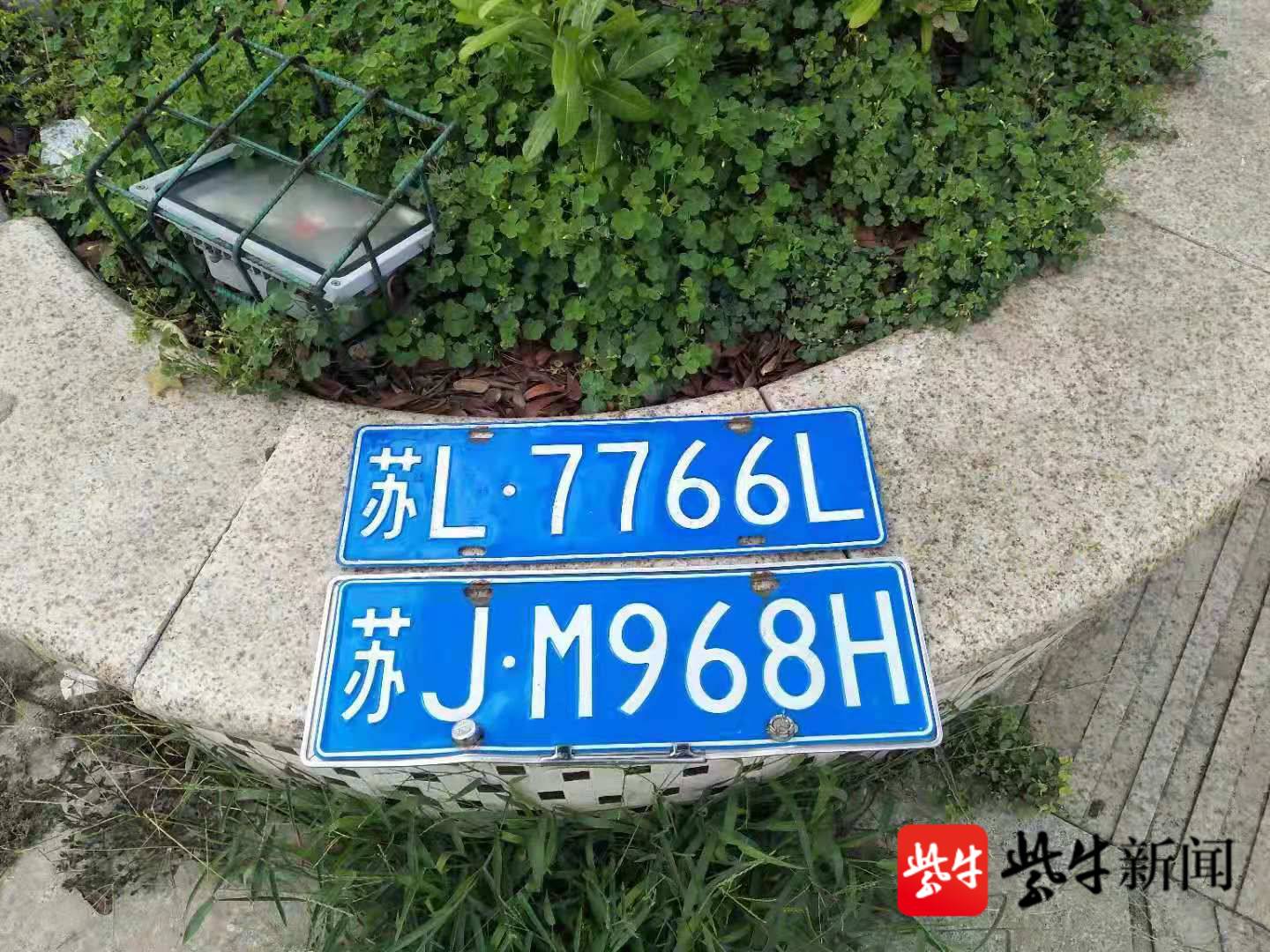 暴雨过后,镇江城管喊你领车牌啦!