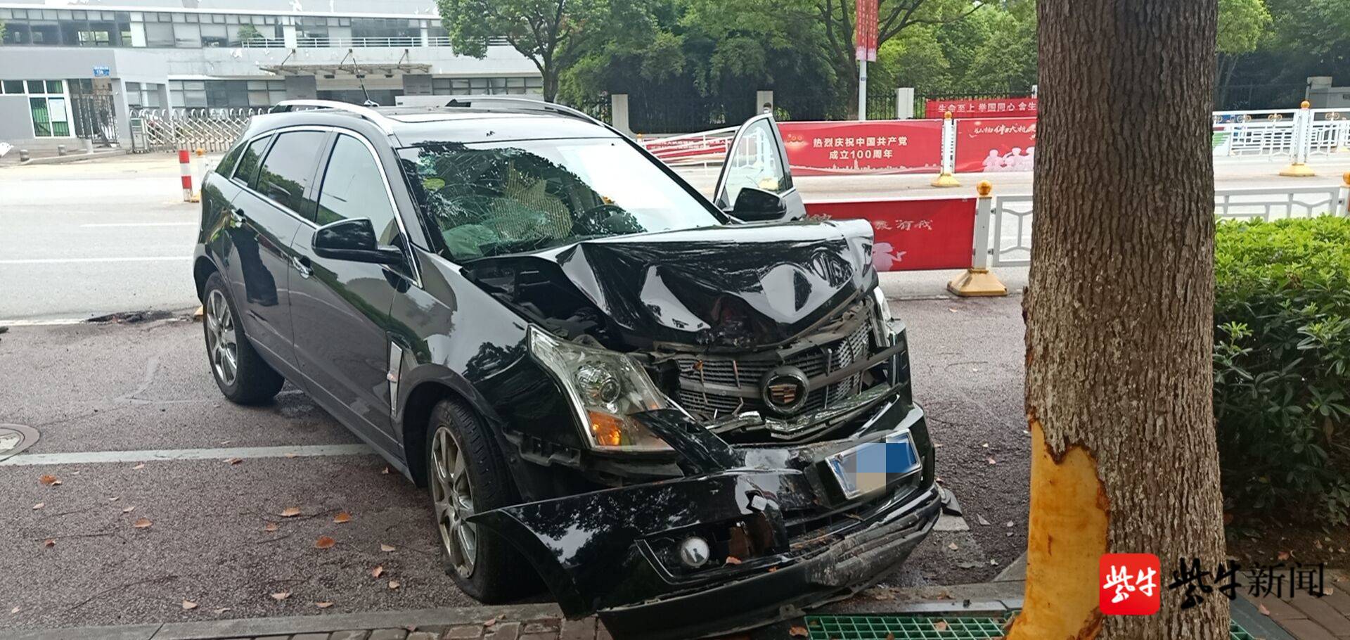 豪车避让调头车撞上大树,虽未接触碰撞调头车辆也要担责