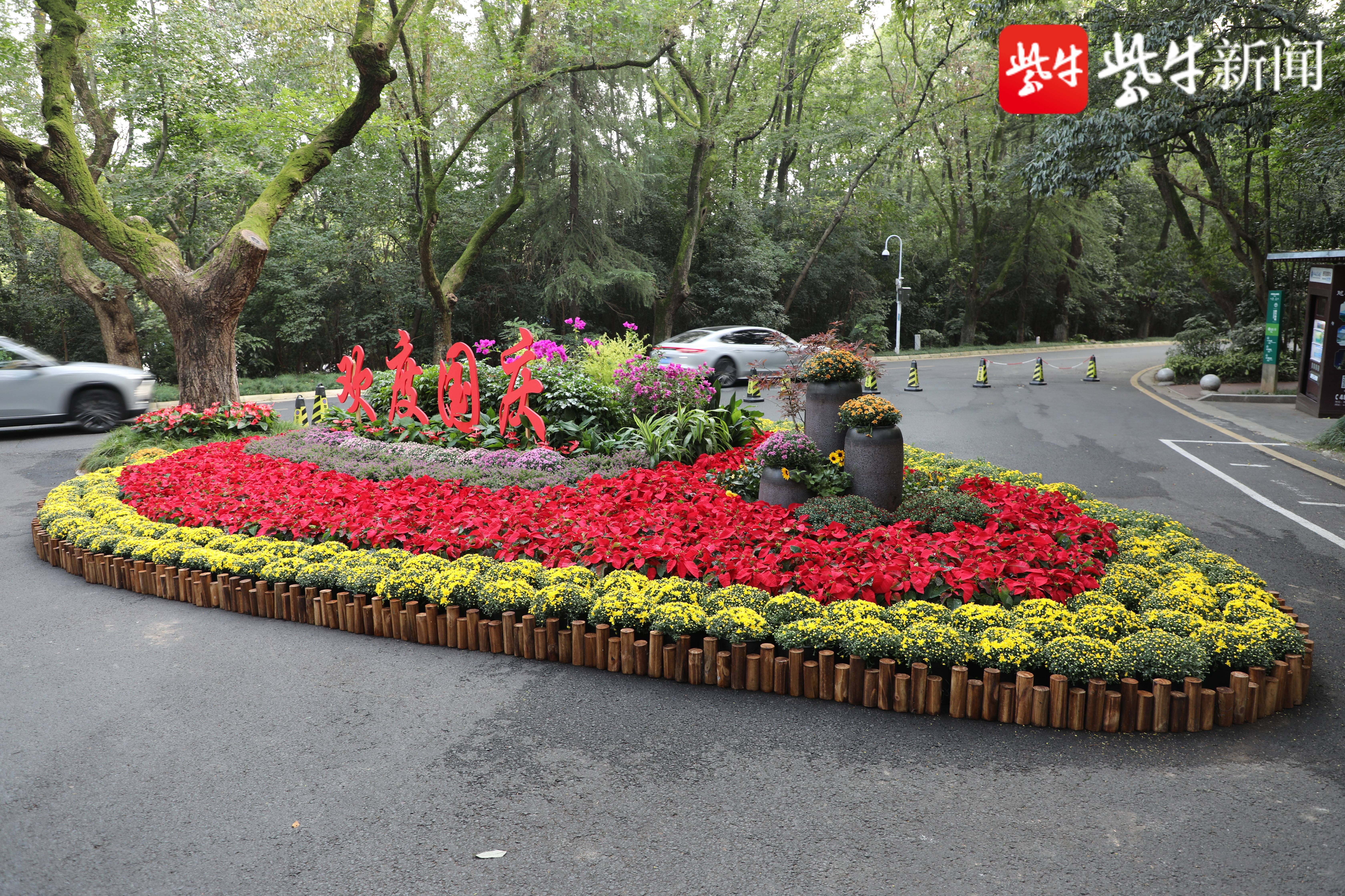 "欢度国庆"花坛亮相南京东郊陵园路