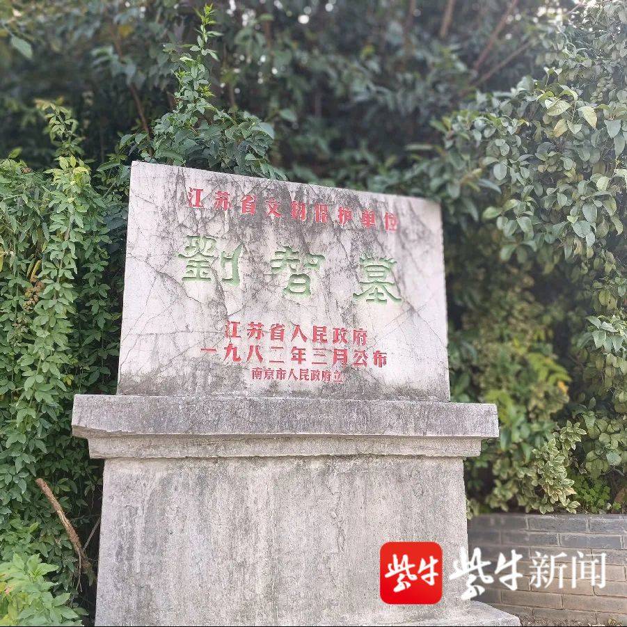 员反映位于雨花台区雨花街道的江苏省省级文物保护单位刘智墓年久失修