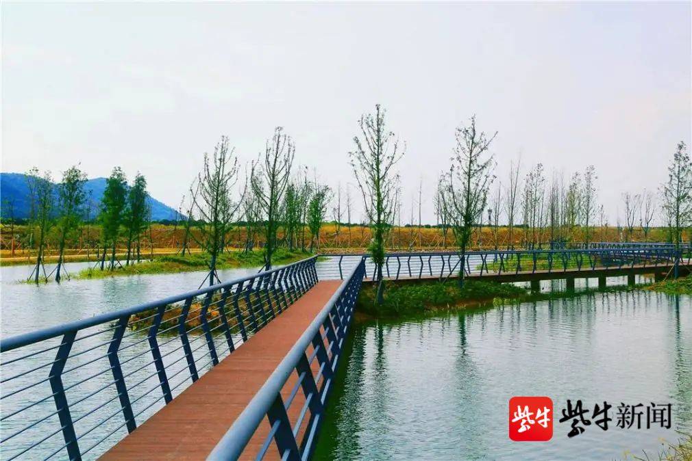 西太湖湿地公园项目二期工程也在加紧建设,主要实施内容包括湿地生态