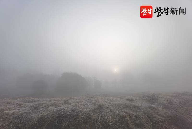 大地被浓雾笼罩,白茫茫一片