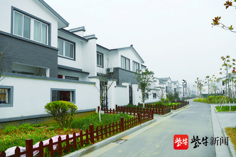 滨海打造高颜值生态宜居美丽乡村