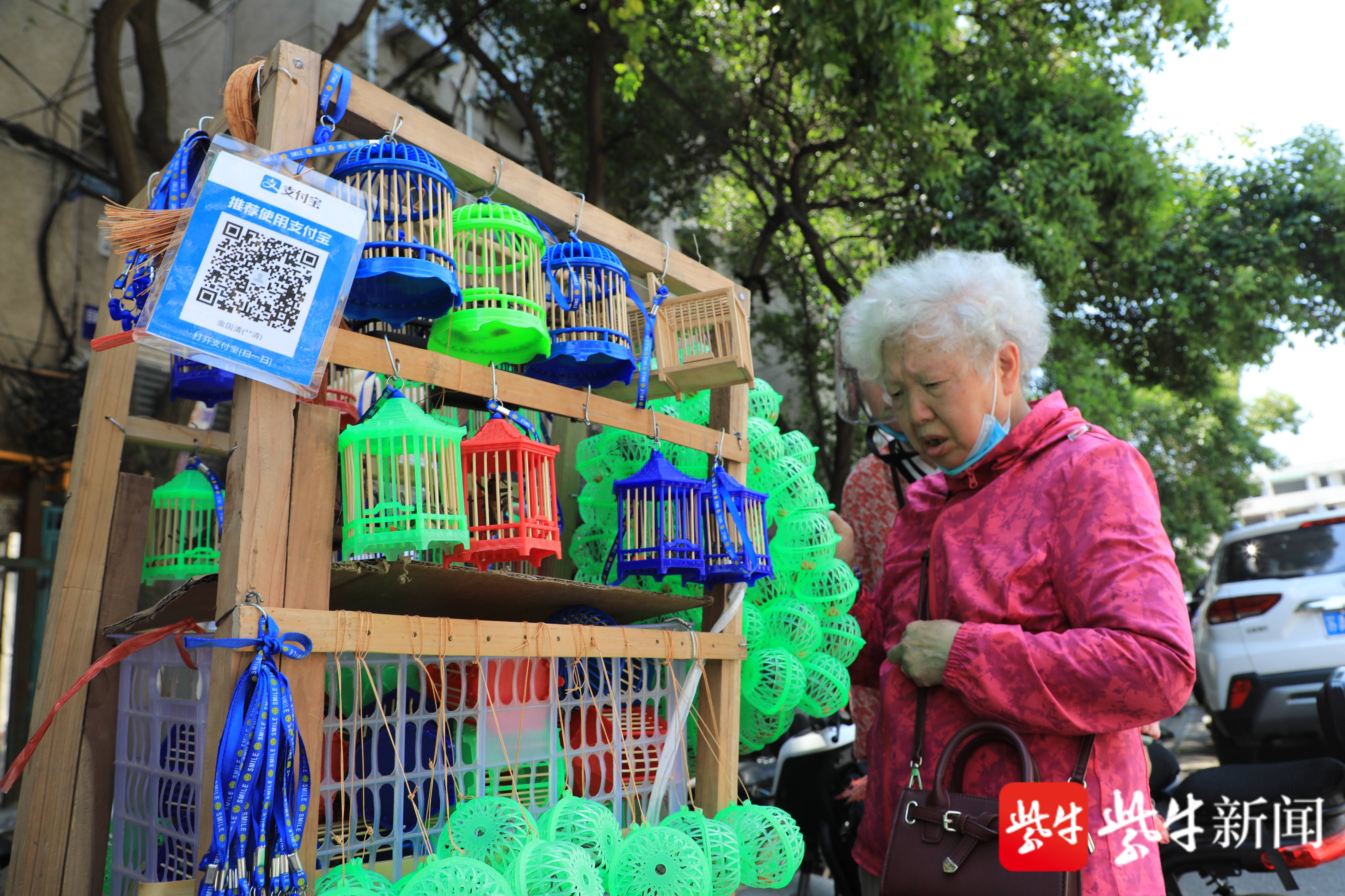 南京街头蝈蝈提前叫夏