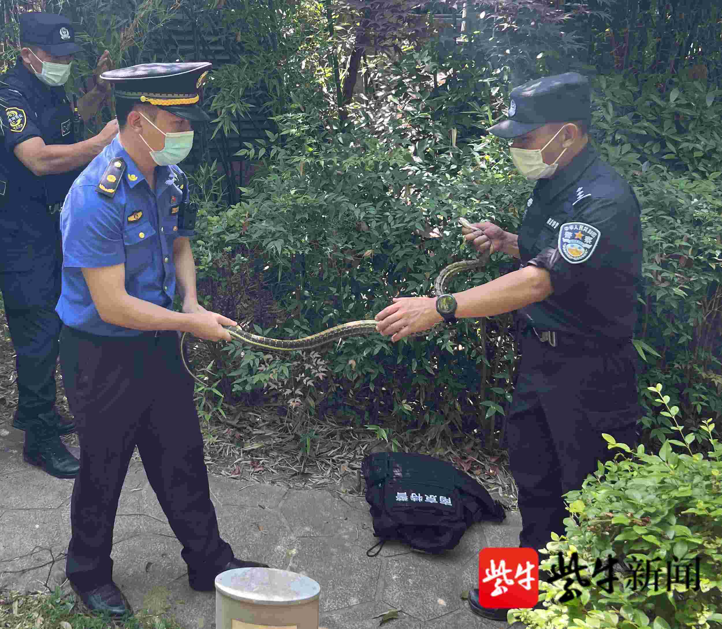 Tvt体育平台官网入口 在线入口 高考英语听力前科场边斯须鸟鸣不啻 城管特警联手抓出一条蛇