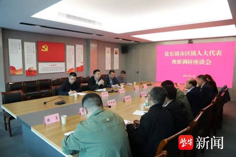 盐城市亭湖区盐东镇人大组织代表开展为民办实事项目与人居环境治理视察调研