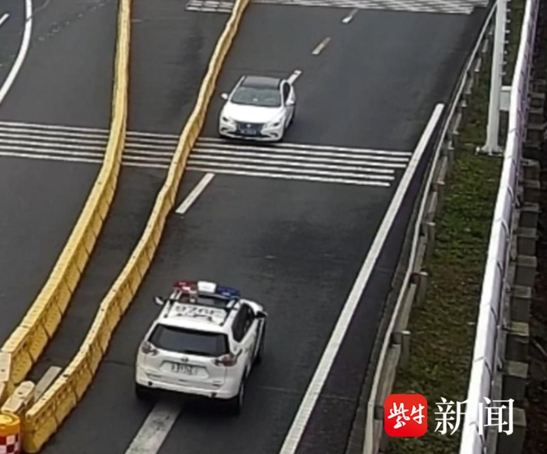 【视频】高速逆行，与警车撞个正着！交警：确认过眼神，别想跑了
