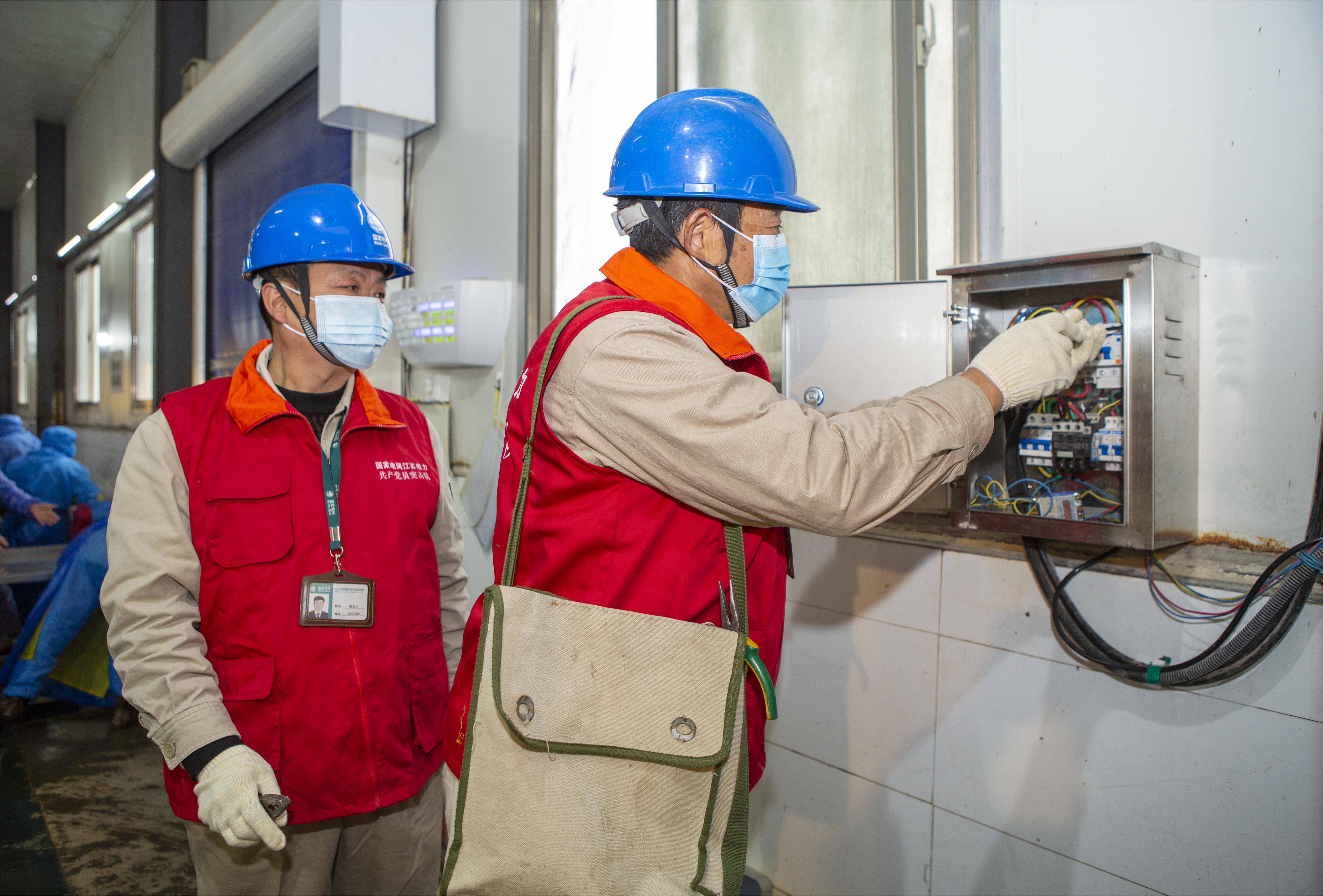 组图∣电力服务兴化香葱飘香产销两旺