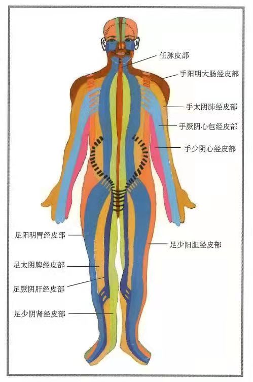 6個穴位排列組合快速解決膝蓋疼痛問題