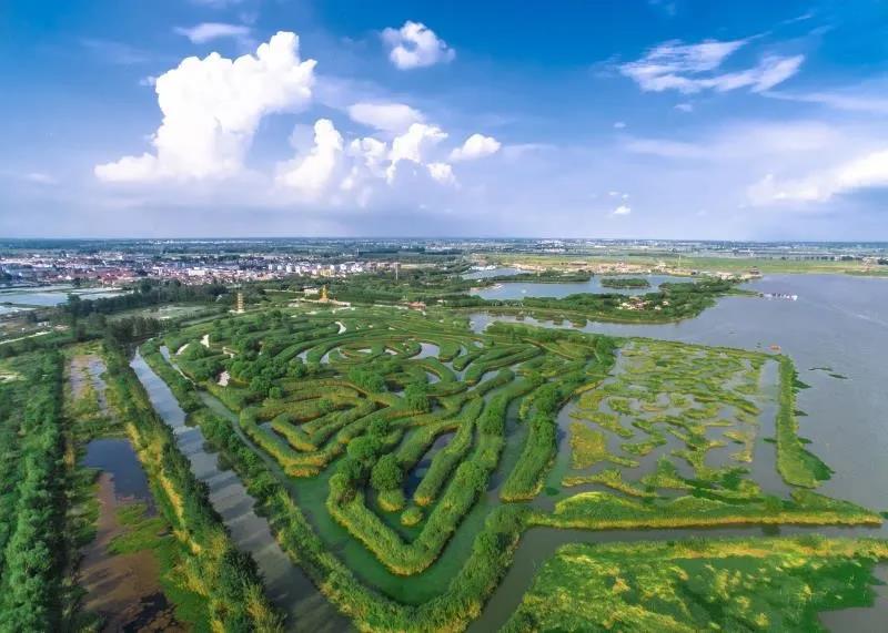 江蘇鹽城大縱湖國家溼地公園