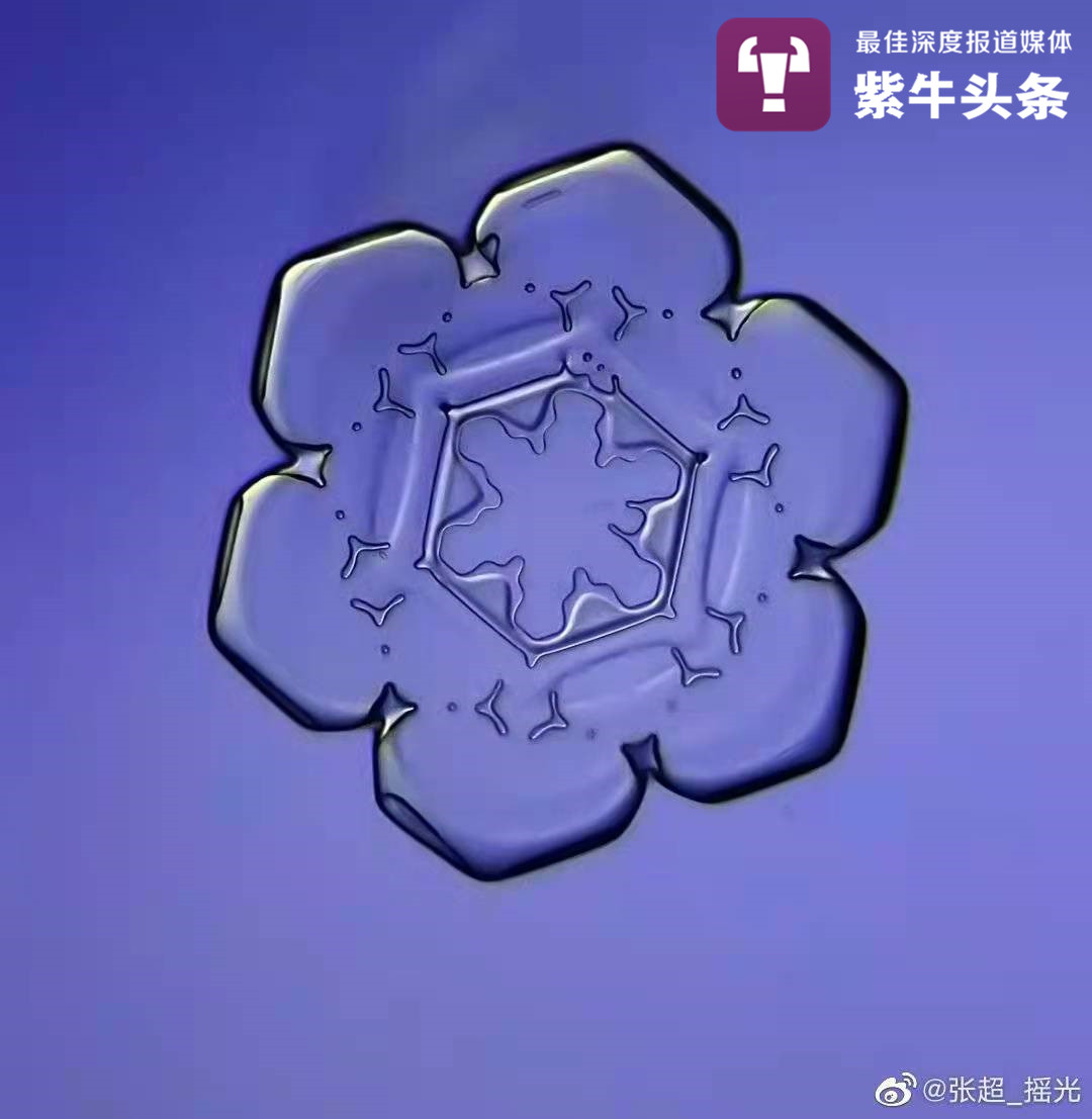 顯微鏡下拍攝的雪花像六瓣花朵