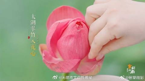 
                        4:3图片
