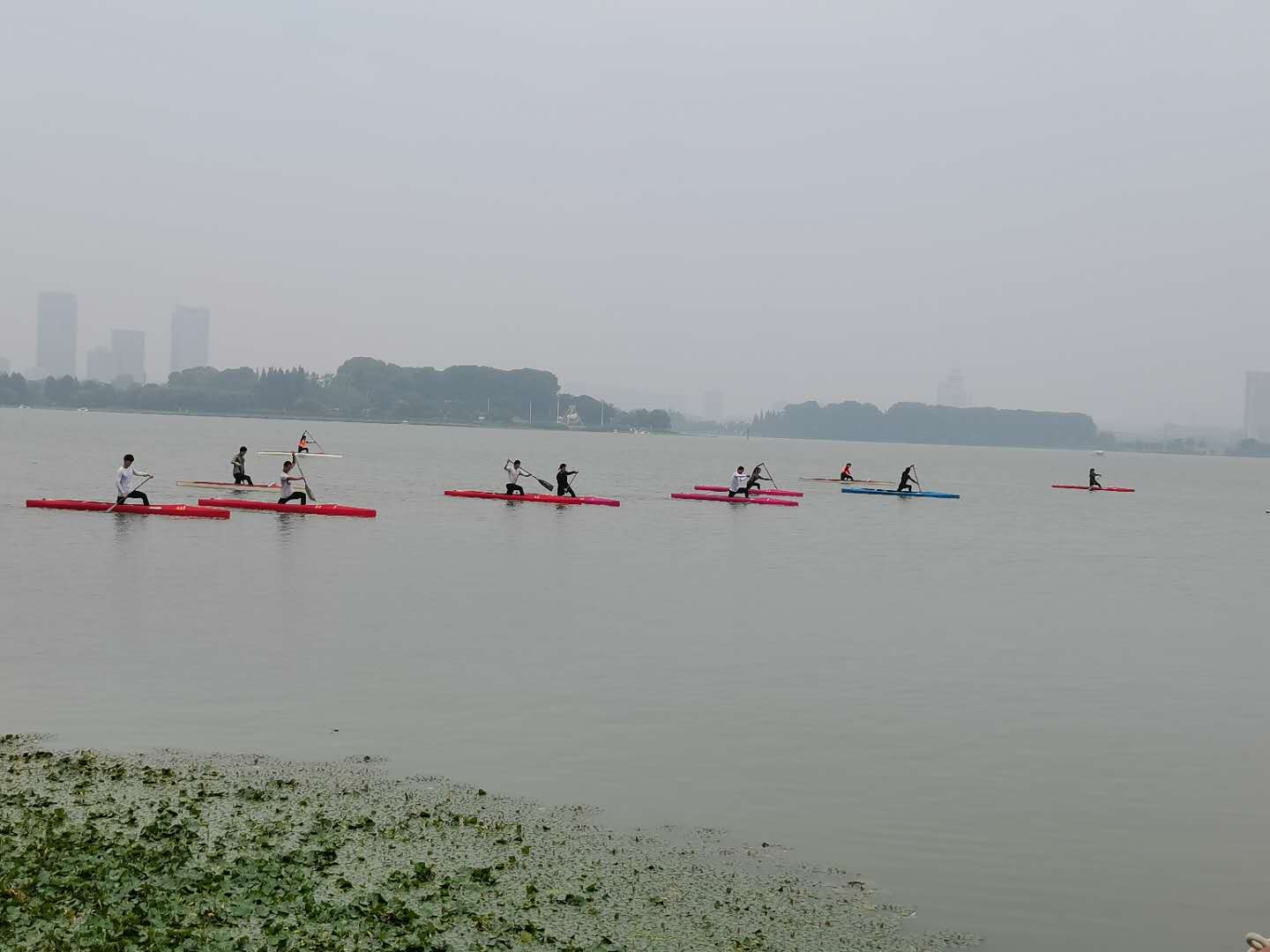 者再正常不过,南京市水上运动学校女子皮划艇组主教练王凤告诉记者