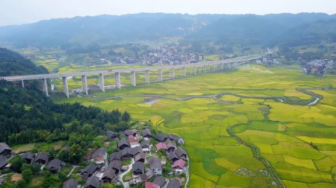 天柱县高酿镇大坝稻田