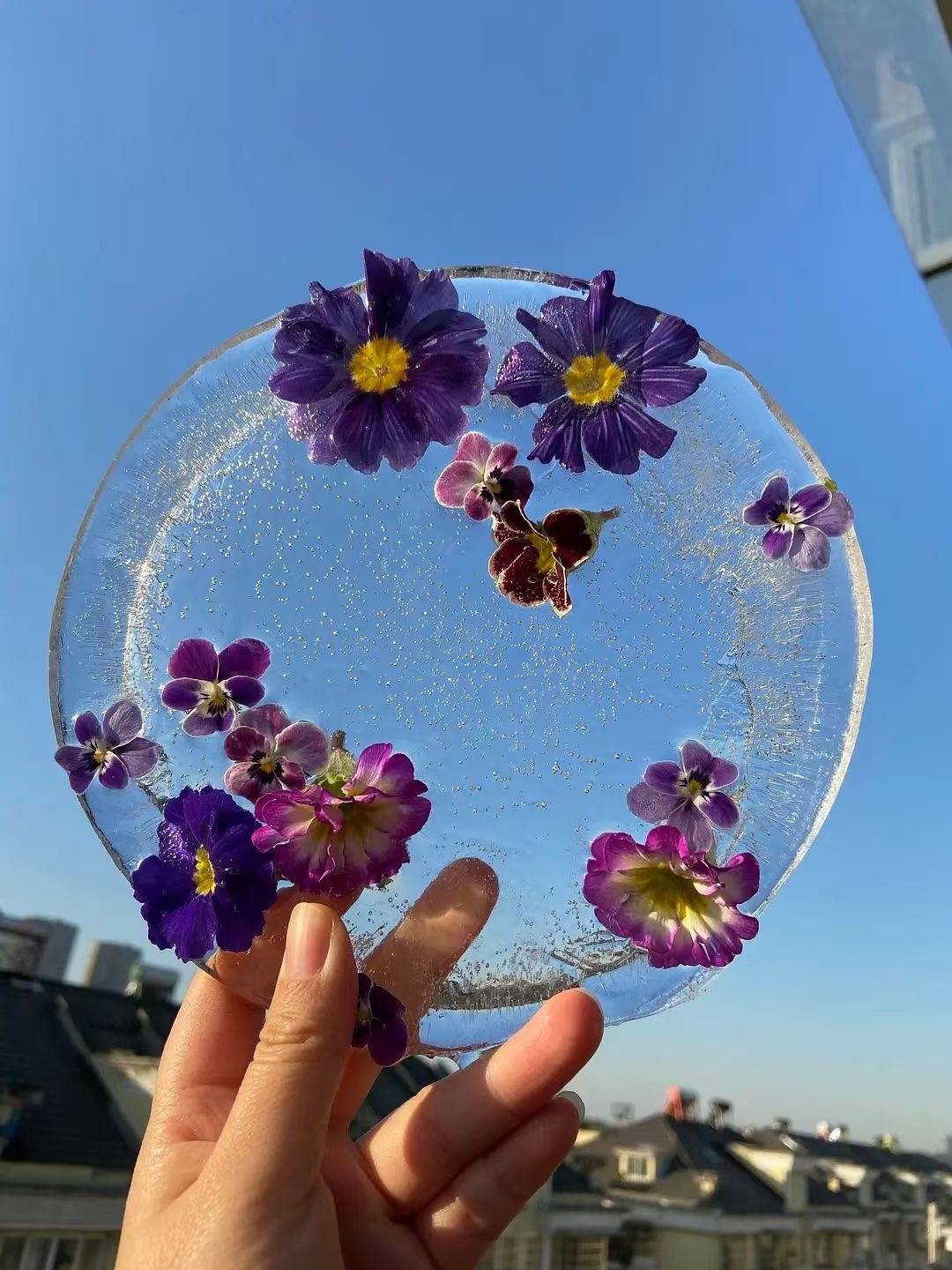 图| 冰花盘,惊艳冬日