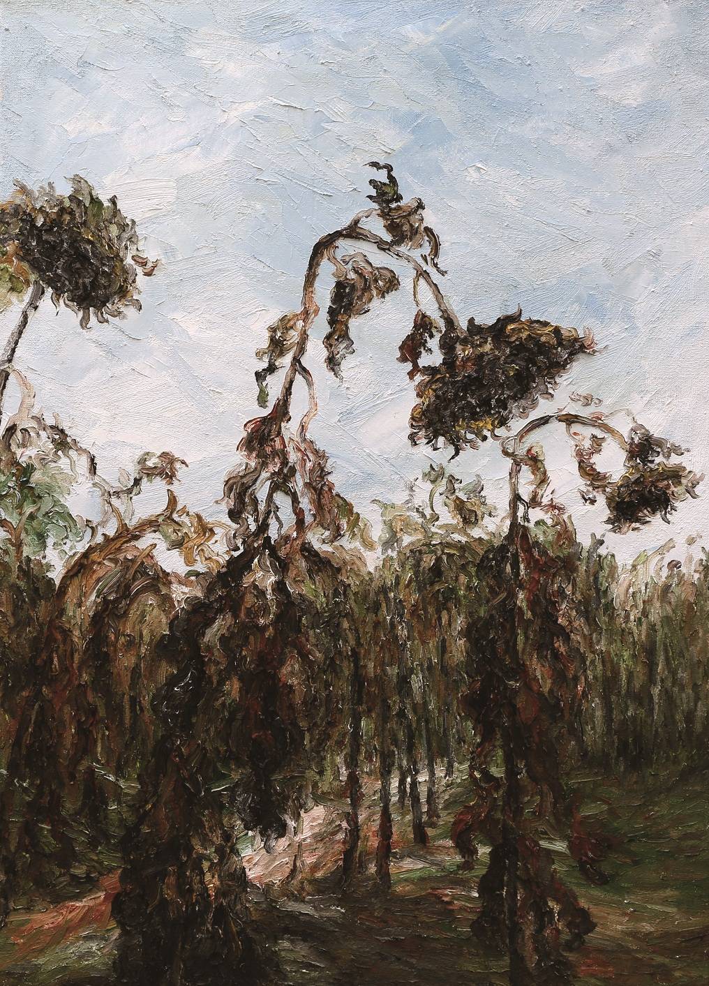 刘工 《枯萎的向日葵》 50×70cm 2013 油画