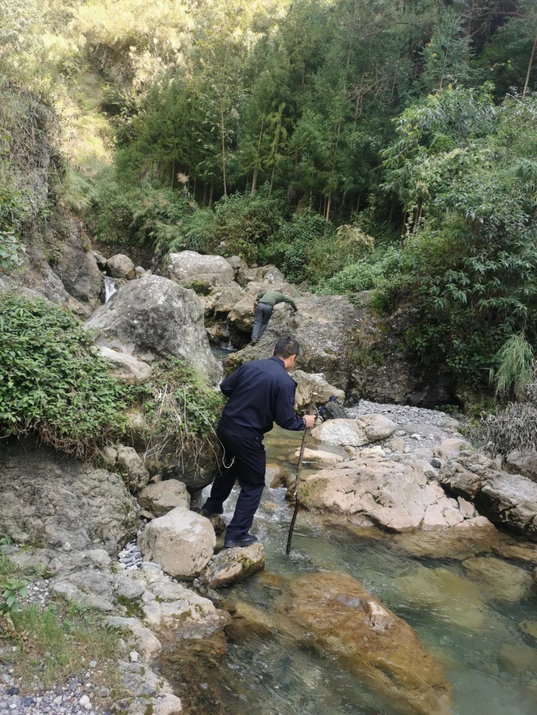 关注儿童成长：专家建议有效策略帮助十岁孩童平衡学业与游戏时间