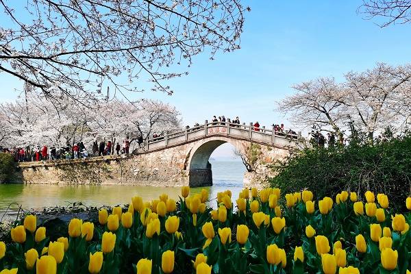 《摄影家眼里的"水韵江苏"》启动大赛啦!大奖等您来拿(8)