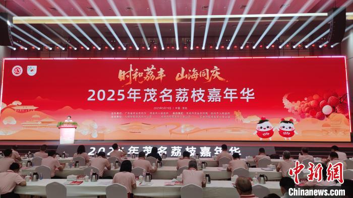 
                        4:3图片