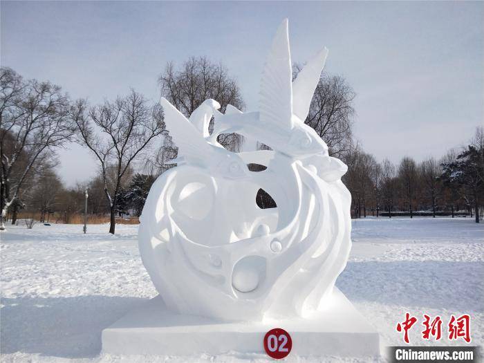 二等奖作品《飞鱼出水》 宋运军 摄