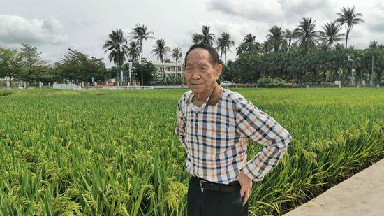 袁隆平在三亚南繁基地查看试验田 湖南杂交水稻研究中心供图