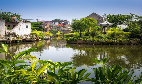 (兴化市大垛镇管阮村管阮)