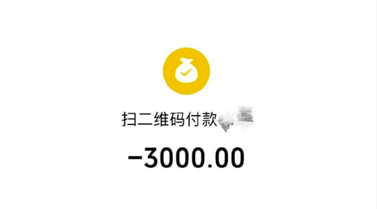 微信有3000块钱的图片图片