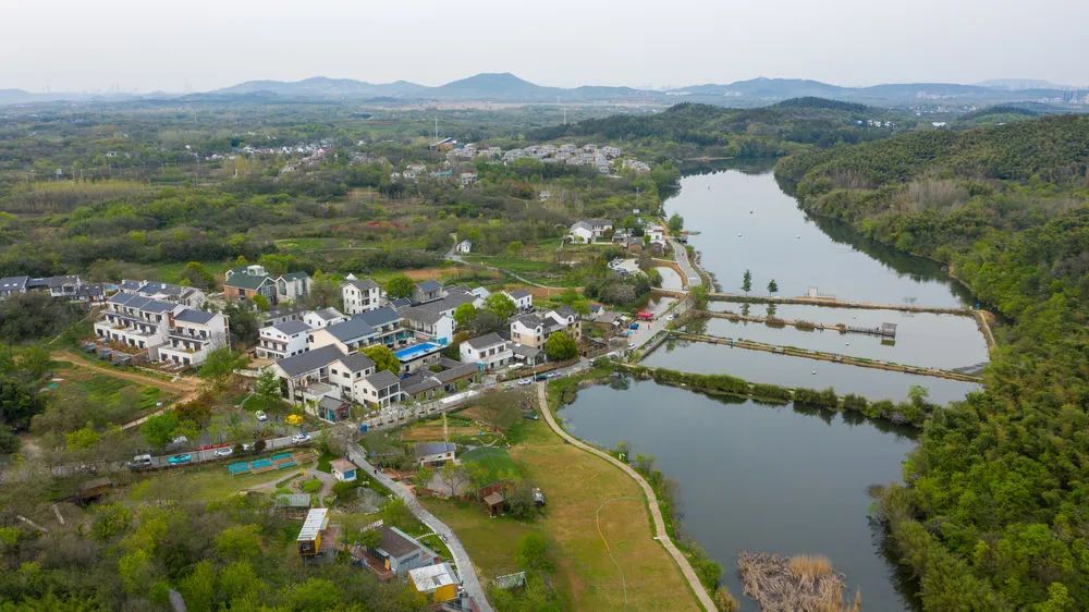 南京市江宁区秣陵街道苏家村.新华社记者李博摄