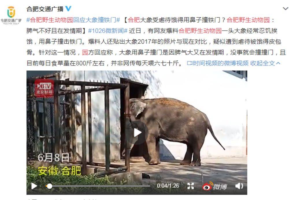 动物园里大象受虐待饿得用鼻子撞铁门?园方回应