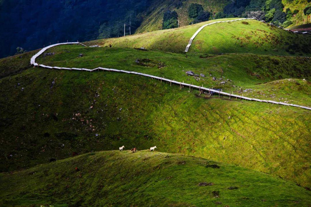 云南正式恢复跨省团队旅游 "一部手机游云南"预约可免门票
