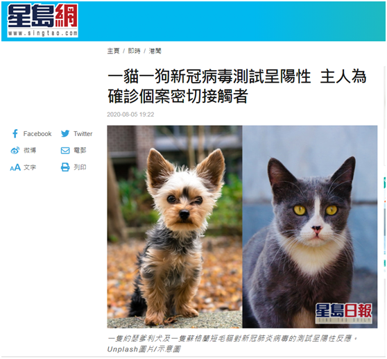 香港一猫一狗新冠病毒测试呈阳性，主人为确诊病例密切接触者