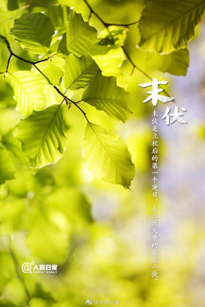 今天末伏来了高温天过去了吗