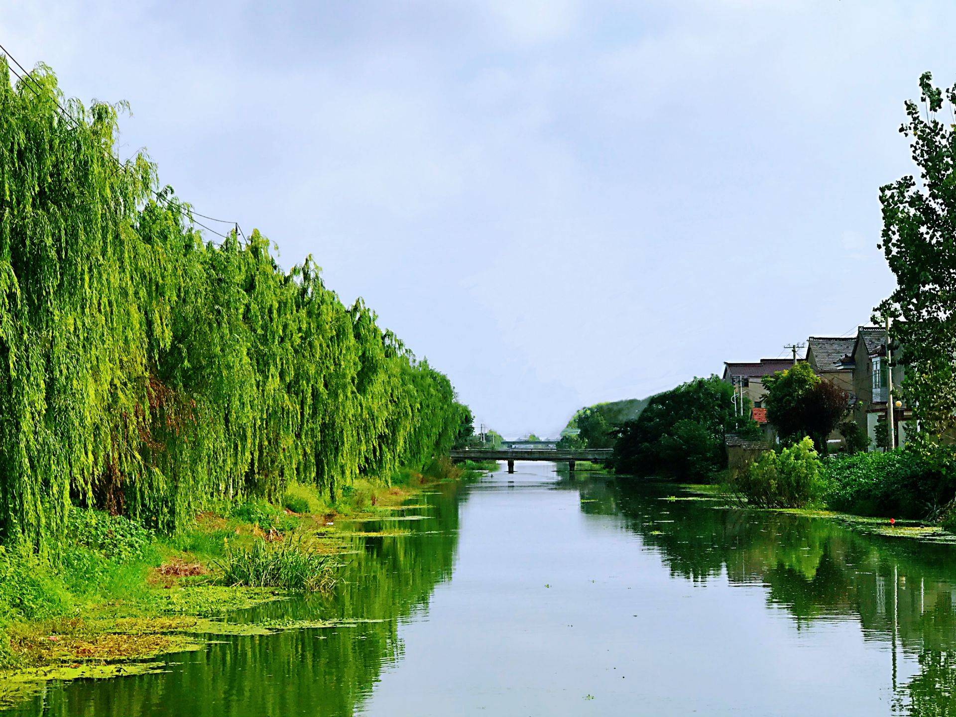 沙口村河岸风光