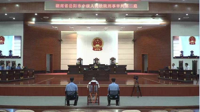 受贿超2亿长沙轨交外逃原董事长之弟一审被判无期徒刑