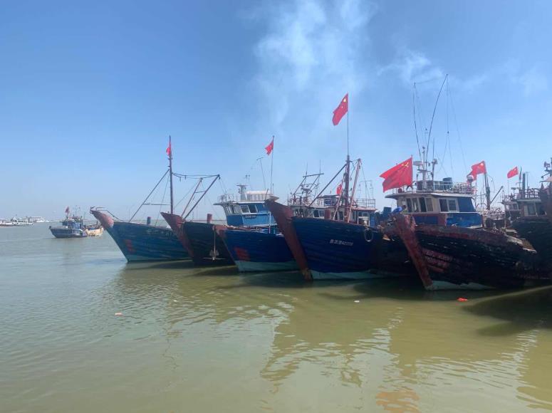 漁船紛紛出海捕魚,山東各地海邊的碼頭也重新熱鬧了起來,在山東北部