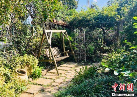 无锡男子徒手十年造园 打造"网红"打卡地