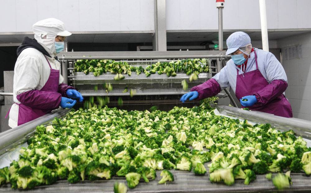 11月23日,工人在一家食品公司加工蔬菜.