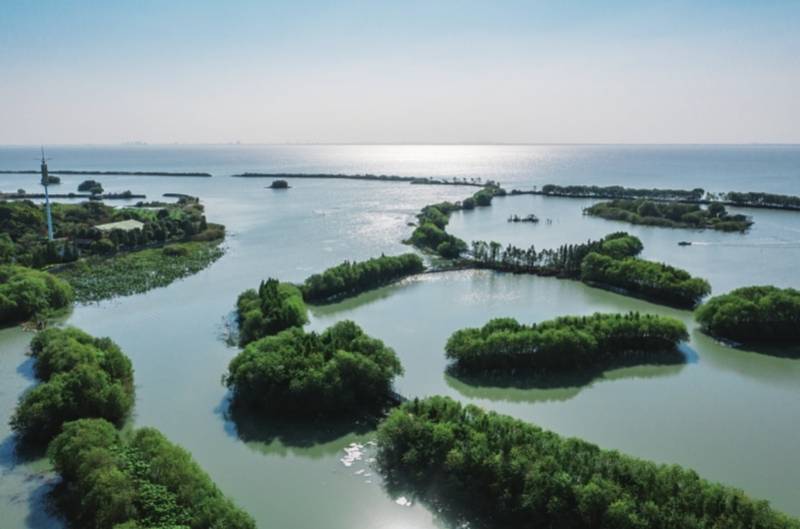 三山岛国家湿地公园