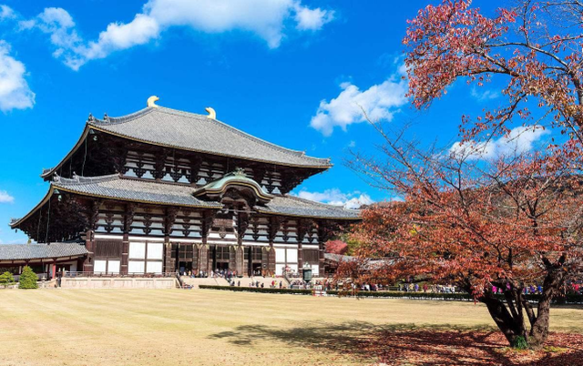 【资料图:奈良东大寺】