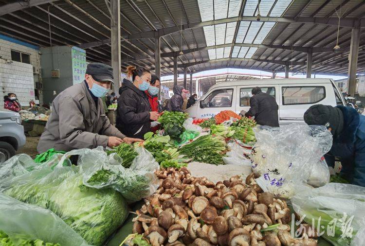 桥西区市场网站推广信息推荐 news.yangtse.com