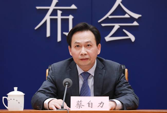 税务总局收入规划核算司司长蔡自力 来源:国家税务总局网站