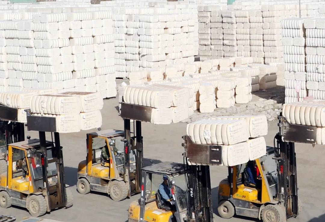 新疆棉花,不缺订单