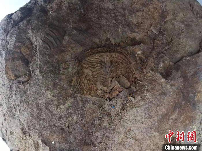 重庆发现唯一火山岩观测点 系约2.6亿年前峨眉山玄武岩