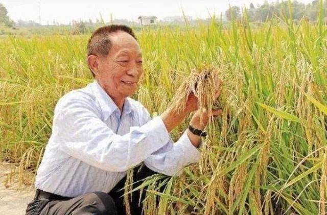 她曾给袁隆平接生!这份珍藏75年的病历曝光