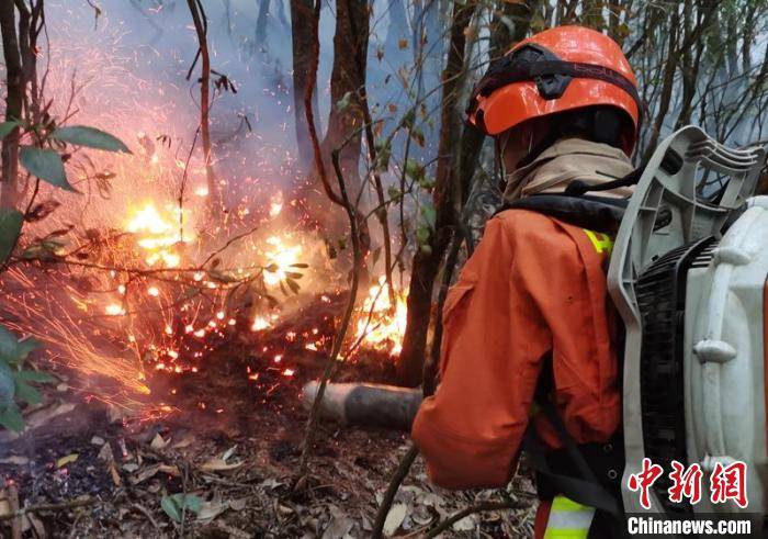 四川冕宁石龙镇森林火灾:持续5天 各救援力量合力攻坚